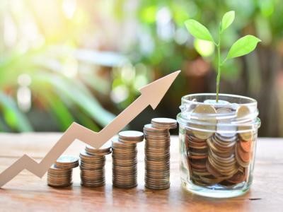 Necesario aumentar inversión en proyectos productivos y rentables.